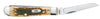Case Peach Seed Jig Amber Bone Mini Trapper (00013) (Case)