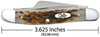 CASE 6318 SS Amber Bone Med Stockman. ( 00042 )