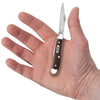 CASE 6220 SS Brown Synthetic Peanut (00046 )