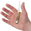 Case Knife 20 5220 SSM Stag W/57730 ( 00048 )
