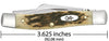 CASE 63032 CV Amb Bone Med Stockman. ( 00079 )