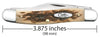 Case Knife 6347 SS Amber Bone Stockman ( 00128 )