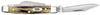 Case Knife  33 5333 SSM Stag. ( 00178 )