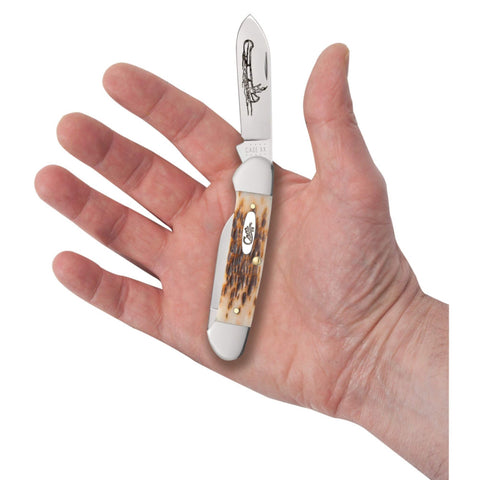 CASE AmberBone Peach Seed Canoe (CTC) (00263) (Case)