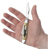 Case Knife 18 6.5318 SSM Bone Stag Jgd Bn ( 03578 )