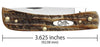 CASE 6.5 Amber Bone Sod Buster JR (CTC) (65310) (Case)